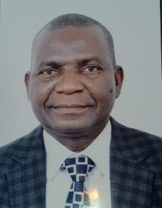 Profile picture of Stephen Tembo