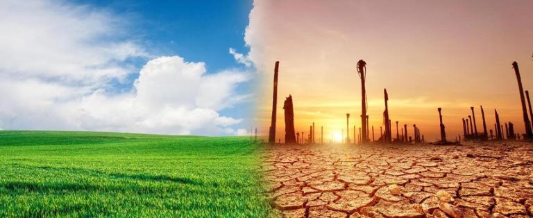 a picture showing two sides, one productive and one sparse