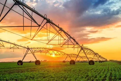 irrigation